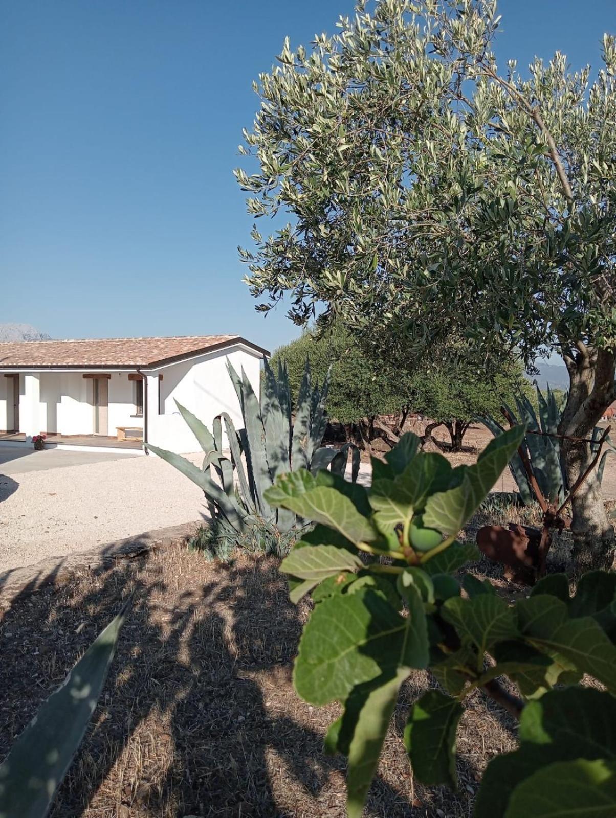 Agriturismo Sa Murta Dorgali Extérieur photo