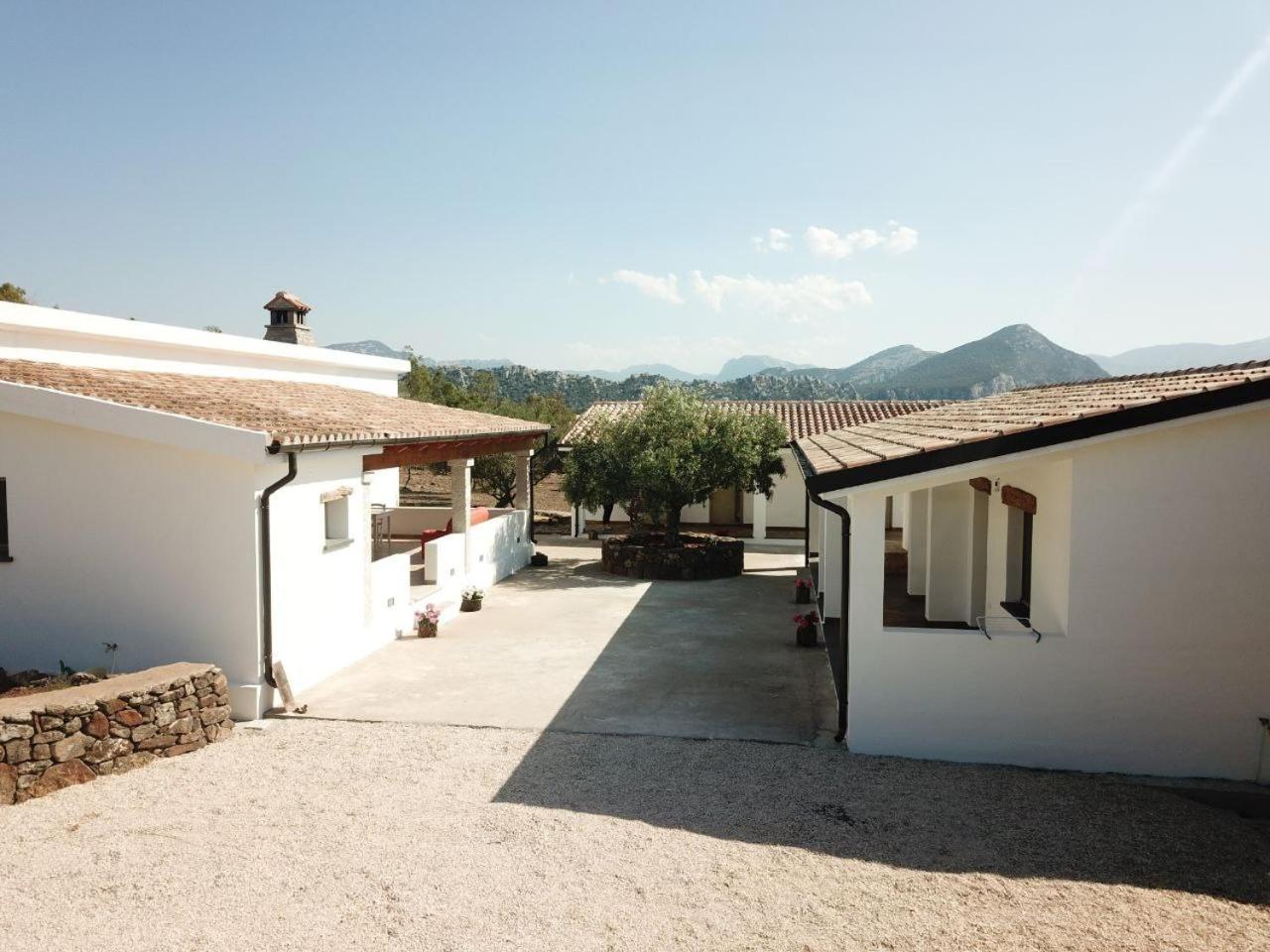 Agriturismo Sa Murta Dorgali Extérieur photo