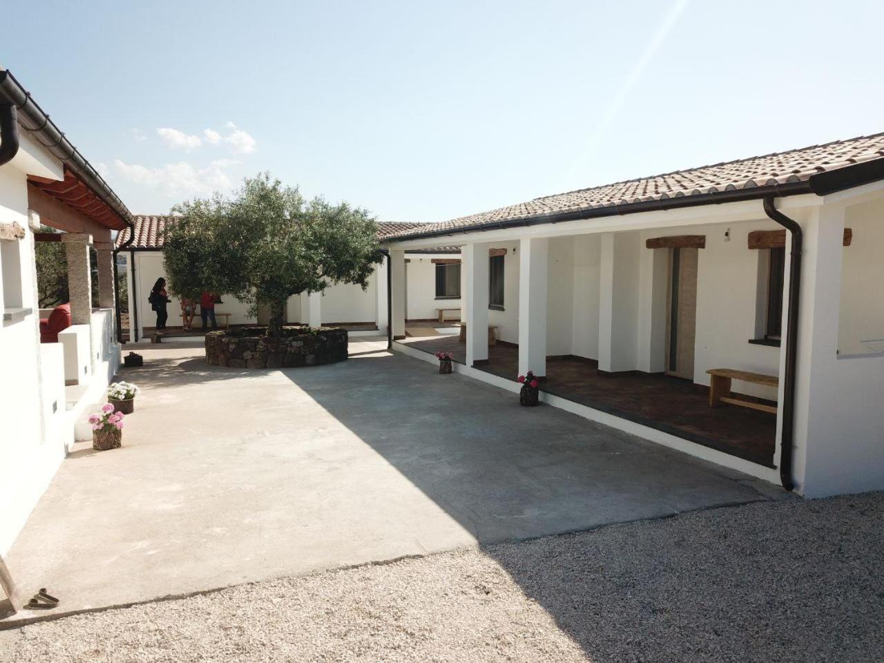 Agriturismo Sa Murta Dorgali Extérieur photo