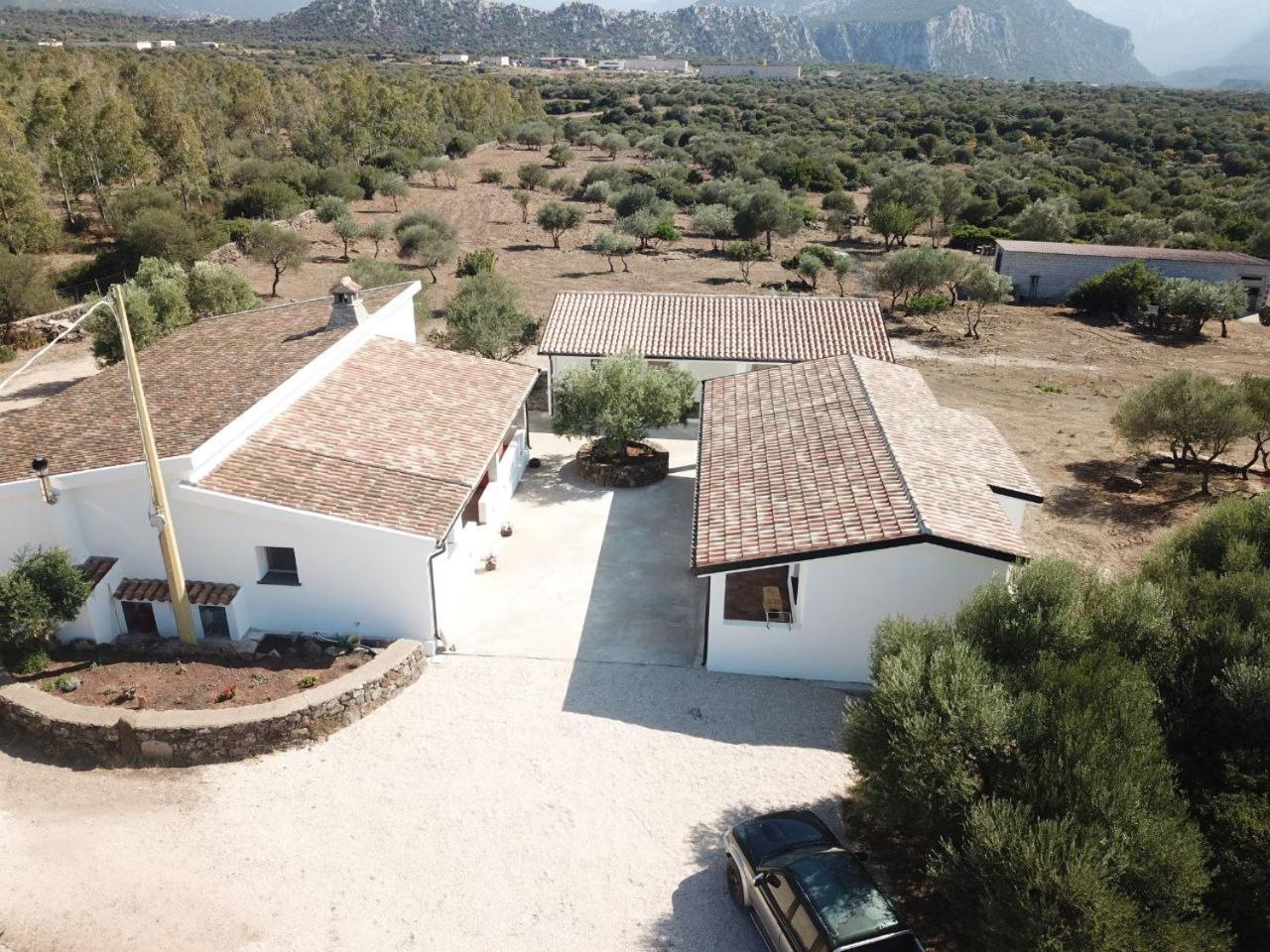 Agriturismo Sa Murta Dorgali Extérieur photo