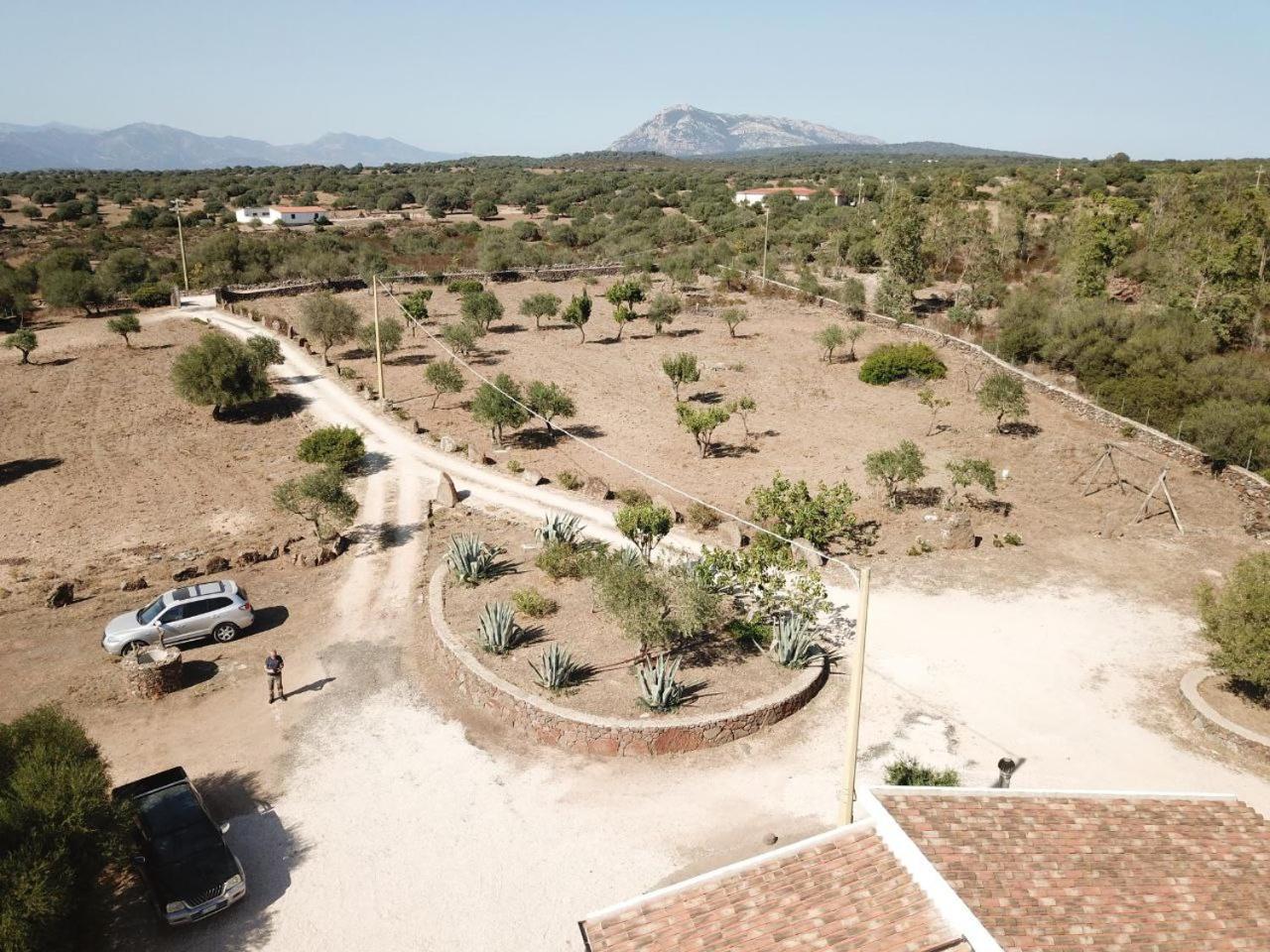 Agriturismo Sa Murta Dorgali Extérieur photo