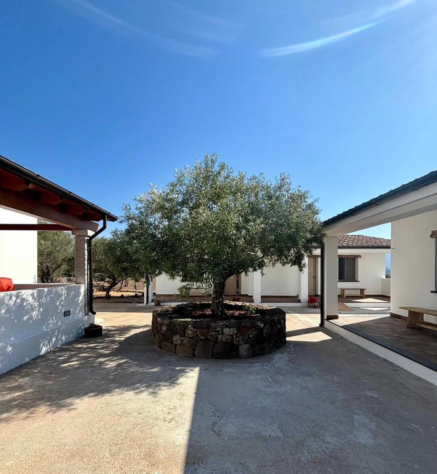 Agriturismo Sa Murta Dorgali Extérieur photo